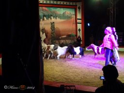 Circus YAKARI Show am 04.10.2024